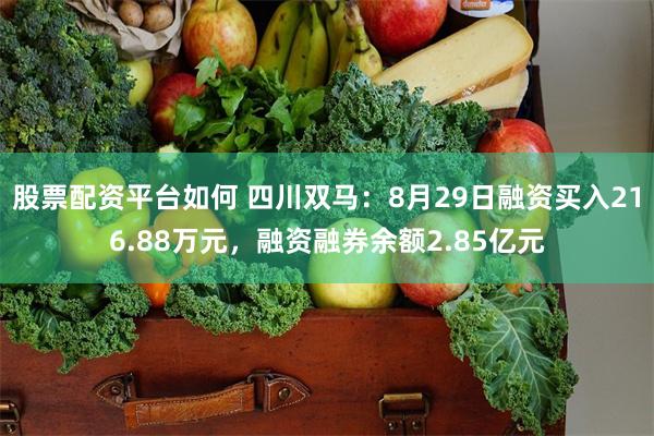 股票配资平台如何 四川双马：8月29日融资买入216.88万