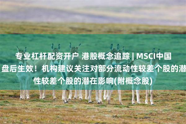 专业杠杆配资开户 港股概念追踪 | MSCI中国指数季度调整