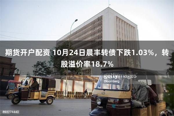 期货开户配资 10月24日晨丰转债下跌1.03%，转股溢价率