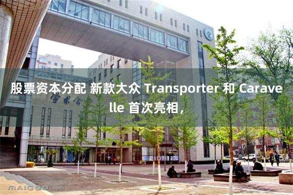 股票资本分配 新款大众 Transporter 和 Cara