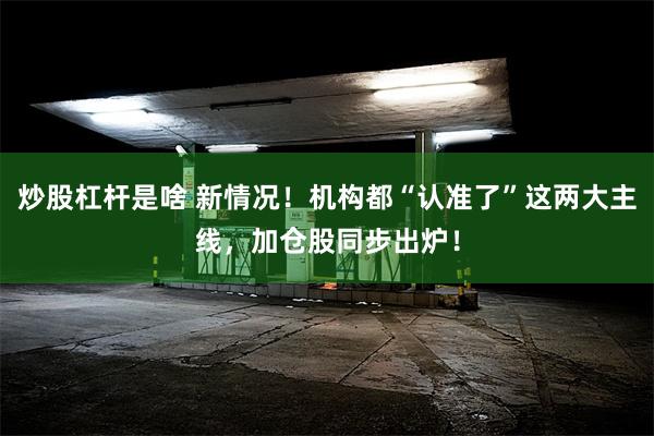 炒股杠杆是啥 新情况！机构都“认准了”这两大主线，加仓股同步