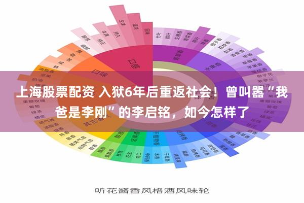 上海股票配资 入狱6年后重返社会！曾叫嚣“我爸是李刚”的李启