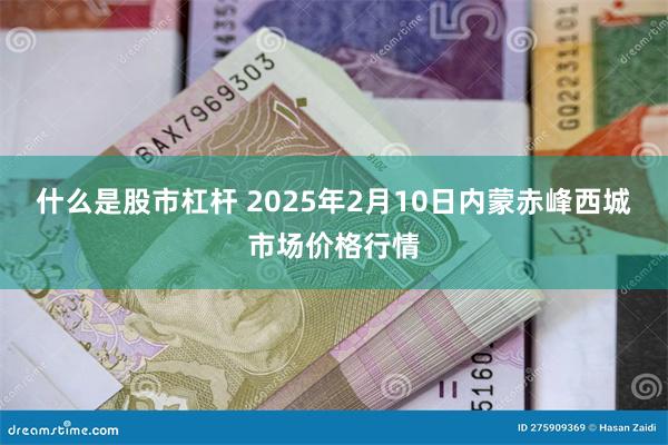 什么是股市杠杆 2025年2月10日内蒙赤峰西城市场价格行情