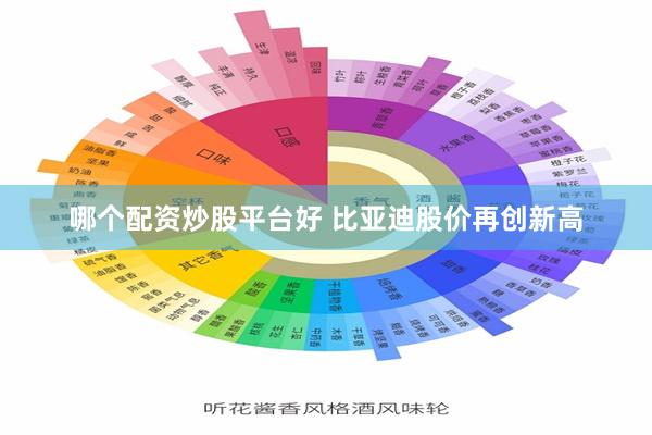 哪个配资炒股平台好 比亚迪股价再创新高