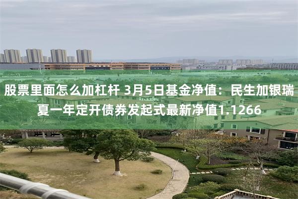 股票里面怎么加杠杆 3月5日基金净值：民生加银瑞夏一年定开债